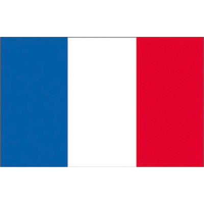 BANDIERA FRANCIA
