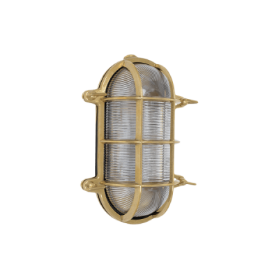 TARTARUGA OVALE