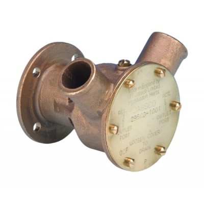 POMPA IN BRONZO SERIE 29500
