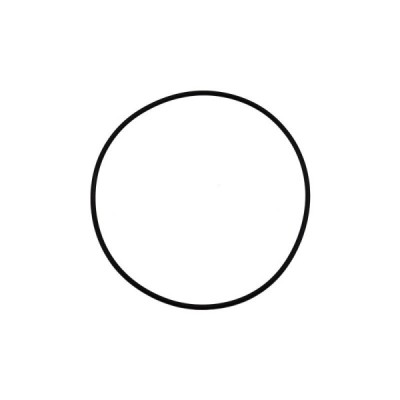 O-RING 43990-0066