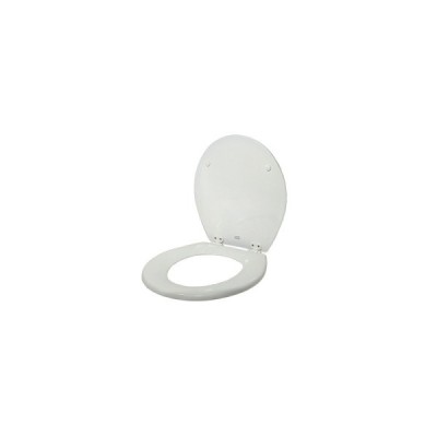 SET ASSE E COPERCHIO WC